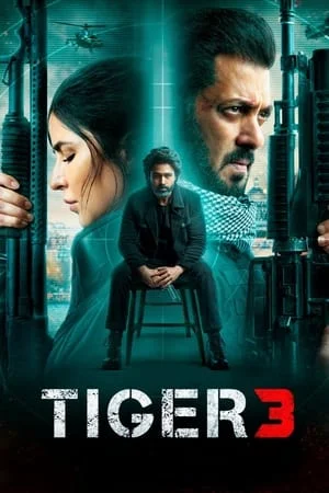 SkymoviesHD Tiger 3 2023 Hindi Full Movie WEB-DL 480p 720p 1080p Download