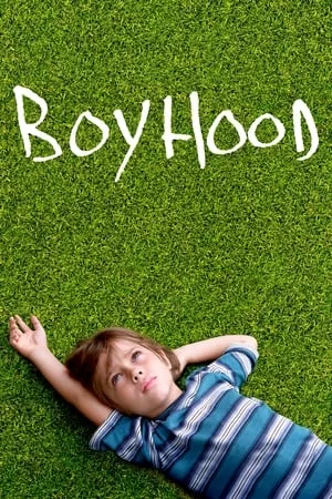 SkyMoviesHD Boyhood 2014 Hindi+English Full Movie BluRay 480p 720p 1080p Download