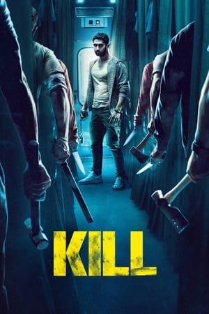 SkyMoviesHD Kill 2024 Hindi Full Movie Pre-DVDRip 480p 720p 1080p Download