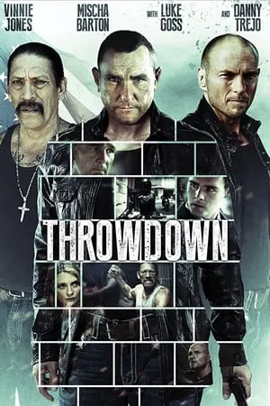 SkyMoviesHD Throwdown 2014 Hindi+English Full Movie BluRay 480p 720p 1080p Download