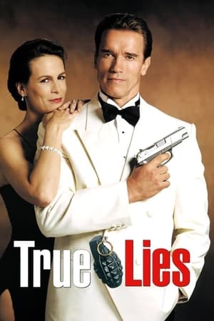 SkyMoviesHD True Lies 1994 Hindi+English Full Movie WEB-DL 480p 720p 1080p Download